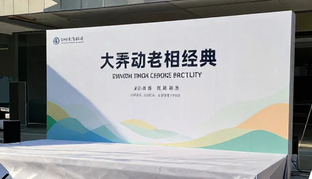 活动策划执行中如何应对预算不足？